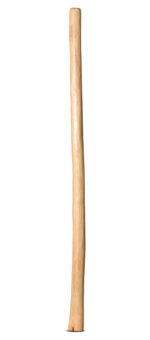Natural Finish Didgeridoo (TW969)